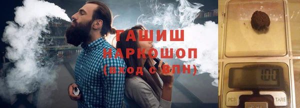 сатива Великий Новгород