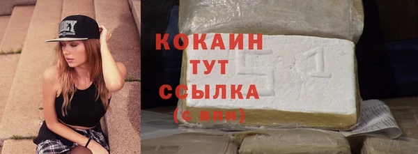 сатива Великий Новгород