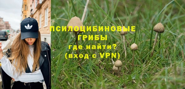 гидропоника Ачинск